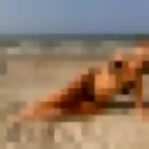 Sexy Coralie, 26 ans à Achicourt - la contacter