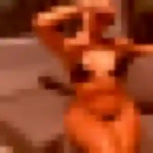 Ornella de Antibes, 21 ans - rencontre sexe discret