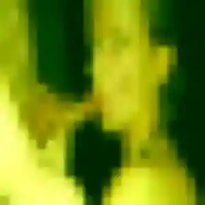 Lucienne, femme de 24 ans cherche rencontre sexe à Anzin