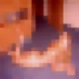 Photo exclusive de Renee, 43 ans à Armentières - plan discret