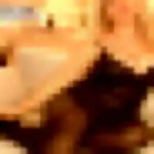 Photo de Elsa à Audun-le-Tiche (38 ans) - rencontre sexe sans inscription