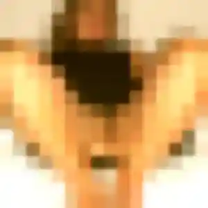 Sexy Elsa, 36 ans à Aurec-sur-Loire - la contacter