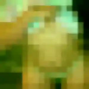 Profil de Patricia à Bailleul (29 ans) - rencontre sexe gratuit