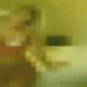 Elvire, 42 ans, cherche un rencontre sexe à Bar-le-Duc