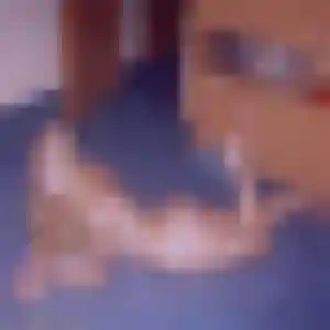 Ninon, femme de 41 ans propose rencontre sexe à Basse-Goulaine