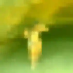Photo exclusive de Marine, 28 ans à Bellevigne-en-Layon - rencontre coquine