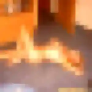 Zephyrine, 21 ans, dispo pour rencontre sexe à Bellevigne-en-Layon