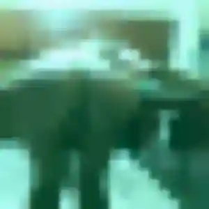 Profil de Camille à Bethoncourt (28 ans) - rencontre sexe anonyme