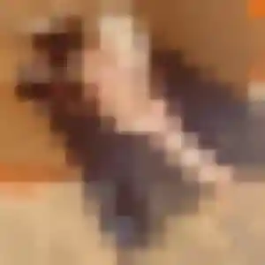 Photo de Sylviane à Binic-Étables-sur-Mer (38 ans) - rencontre sexe sans inscription