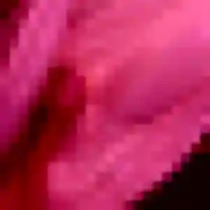 Profil de Salome à Bohain-en-Vermandois (26 ans) - rencontre sexe discret