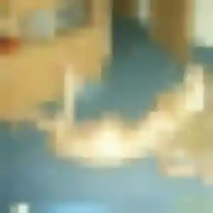 Photo de Albane à Bougival (21 ans) - rencontre sexe anonyme