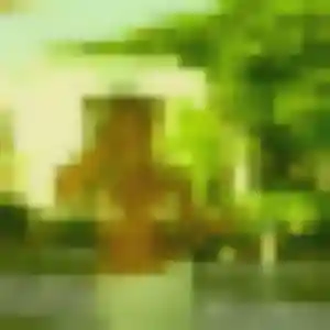 Photo de Pauline à Bourbourg (35 ans) - rencontre sexe sans inscription