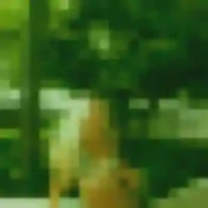 Profil de Quitterie à Bourgoin-Jallieu (25 ans) - rencontre sexe anonyme