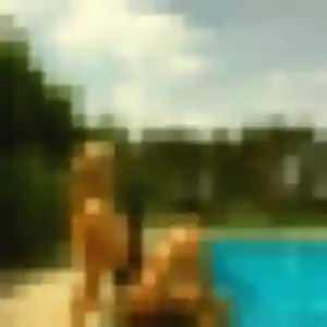 Photo perso de Berengere, 26 ans à Caudan - rencontre coquine