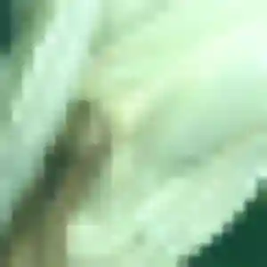 Ingrid, 22 ans, disponible à Cestas pour une rencontre coquine