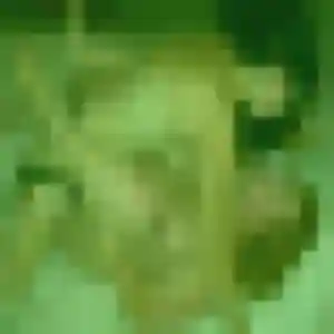 Photo sexy de Clara, 28 ans à Chantonnay - plan discret