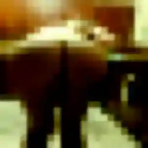 Nelly, fille de 43 ans propose rencontre sexe à Charbonnières-les-Bains