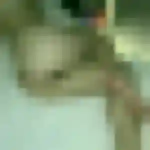 Sixtine, 20 ans, en ligne à Chartres-de-Bretagne pour un rencontre sexe