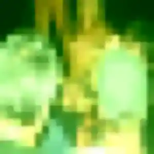 rencontre sexe à Châtelaillon-Plage : profil de Rosalie, 31 ans - inscription gratuite