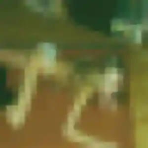 Photo de Roxane à Clermont-l'Hérault (40 ans) - rencontre sexe discret