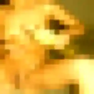 Photo de Charline à Condat-sur-Vienne (45 ans) - rencontre sexe sans inscription