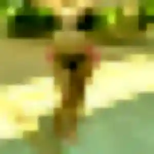 Leonore, 27 ans, dispo pour rencontre sexe à Crépy-en-Valois