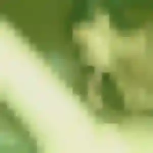 Profil de Estee à Dourdan (39 ans) - rencontre sexe anonyme