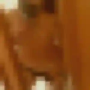 Rebecca, 41 ans, dispo pour rencontre sexe à Ernée