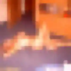 Photo de Suzanne à Fegersheim (20 ans) - rencontre sexe anonyme