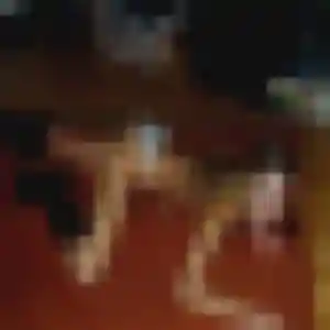Luna, femme de 24 ans veut rencontre sexe à Gaillard