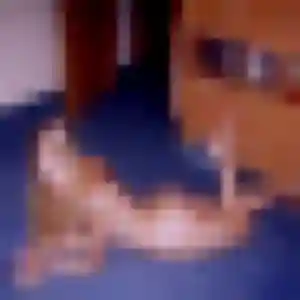 Photo de Olga à Gennes-Val-de-Loire (32 ans) - rencontre sexe discret