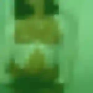 Suzanne, 20 ans, disponible à Gévezé pour une rencontre coquine