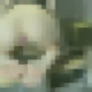 Perrine, 39 ans, dispo pour rencontre sexe à Graulhet