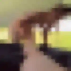 Malika de Grenade, 23 ans - rencontre sexe sans lendemain