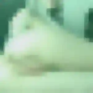 Salome, 21 ans, en ligne à Guebwiller pour un rencontre sexe
