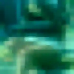 Belle Lucienne, 19 ans à Guingamp - découvrir son profil