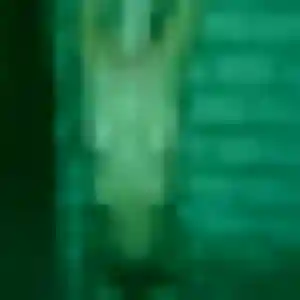 Contacte Theresa, 42 ans à Jouars-Pontchartrain en privé
