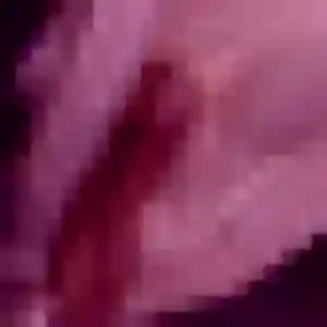 Orane, 20 ans, connectée à L'Isle-sur-la-Sorgue pour un rencontre sexe