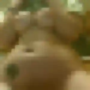 Elvire (28 ans) à La Bassée cherche un rencontre sexe aujourd'hui