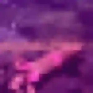 Louisa, 28 ans, dispo pour rencontre sexe à Lallaing
