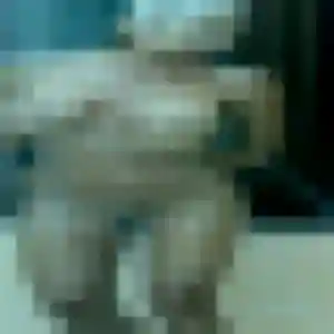 Jolie Celine, 19 ans à Lambersart - voir sa photo