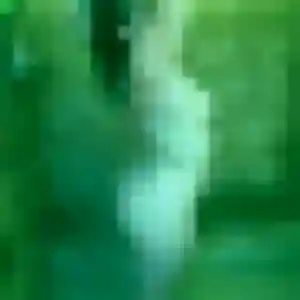 Lily (36 ans) à Le Boulou propose un rencontre sexe maintenant