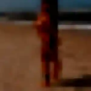 Photo de Lily à Le Grau-du-Roi (43 ans) - rencontre sexe gratuit