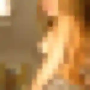 Lou-Anne, 22 ans, cherche un rencontre sexe à Le Pecq
