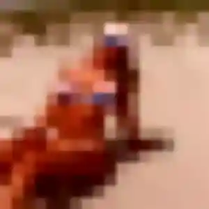 Maeva, 29 ans, cherche un rencontre sexe à Le Plessis-Robinson