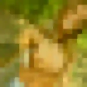 Photo de Gilberte à Le Portel (27 ans) - rencontre sexe discret