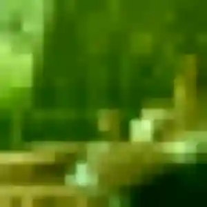 Francine (29 ans) à Le Puy-Sainte-Réparade cherche un rencontre sexe ce soir
