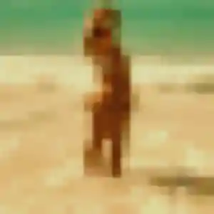 Profil de Marie-Ange à Le Rheu (30 ans) - rencontre sexe gratuit