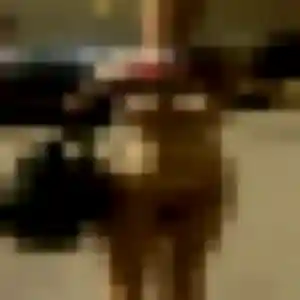 Urielle, femme de 40 ans veut rencontre sexe à Les Trois-Bassins