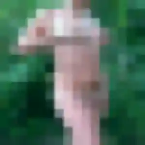 Belle Alix, 21 ans à Lestrem - la contacter